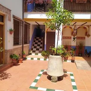 Patio De San Lorenzo Vft/co/00990 Córdoba